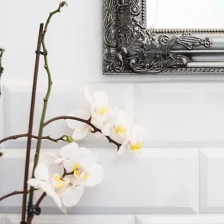 Scandi Old Town Apartamento